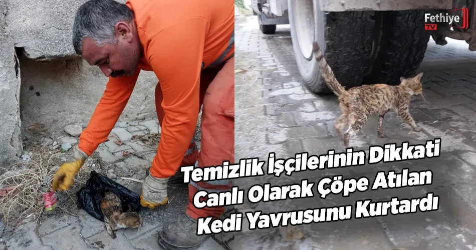 Temizlik İşçilerinin Dikkati Canlı Olarak Çöpe Atılan Kedi Yavrusunu Kurtardı